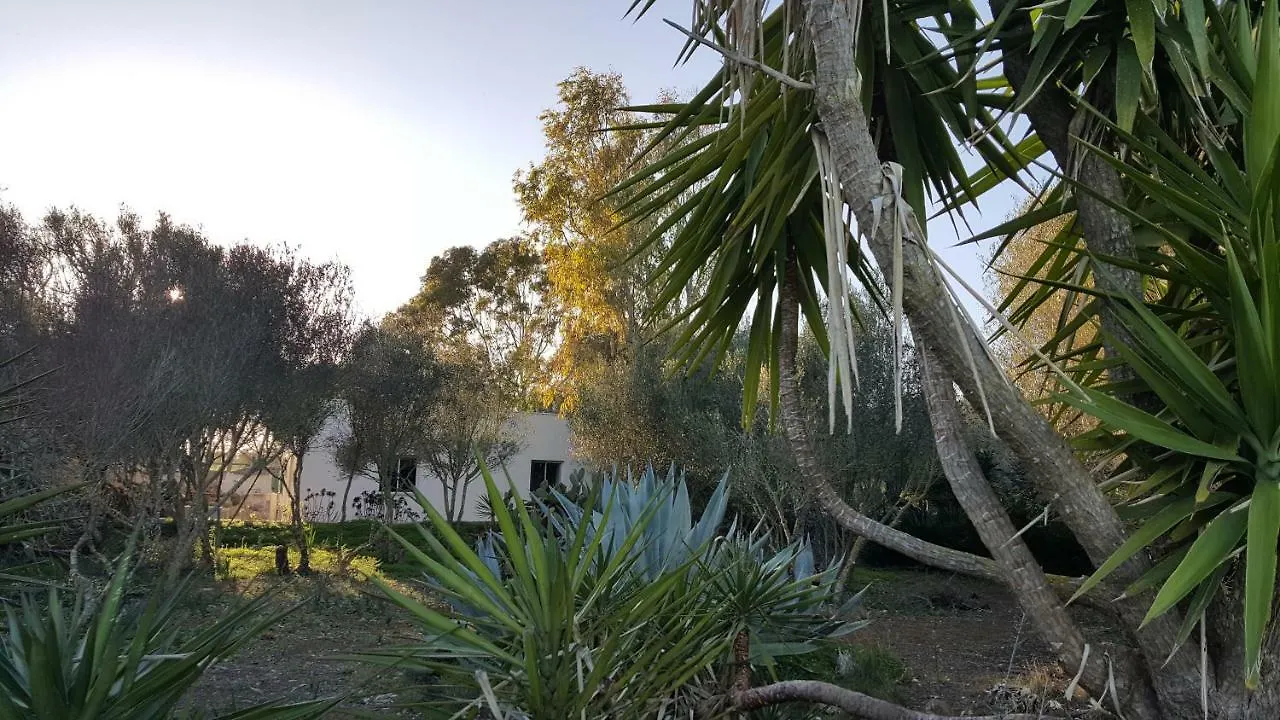 세스 살리네스 Casa Farah Mallorca 빌라 펜션