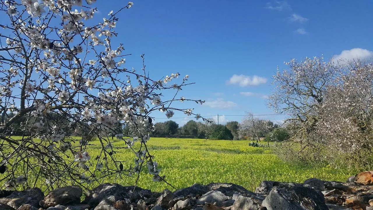 세스 살리네스 Casa Farah Mallorca 빌라