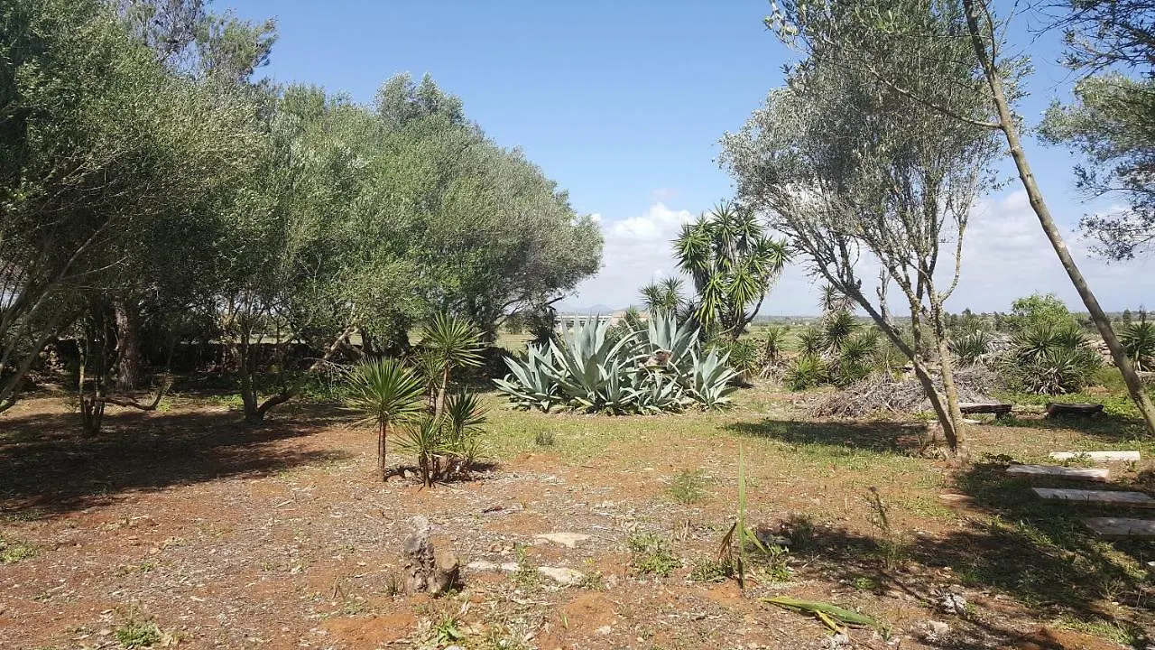 Casa Farah Mallorca Villa Ses Salines  0*, Ses Salines (Mallorca)