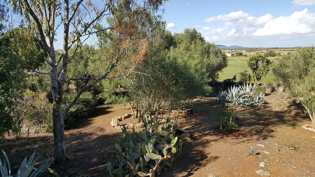 Casa Farah Mallorca Villa Ses Salines