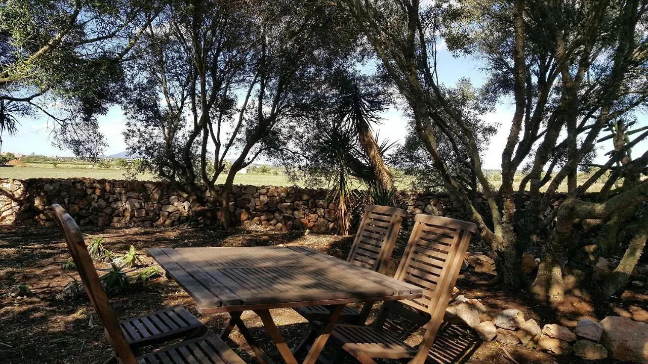 Holiday home Casa Farah Mallorca Villa Ses Salines