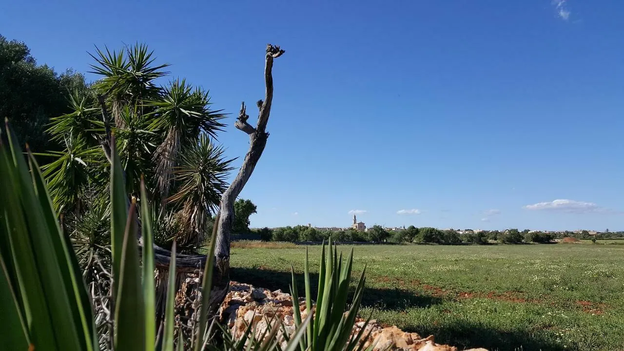 Casa Farah Mallorca Villa Ses Salines  Spain