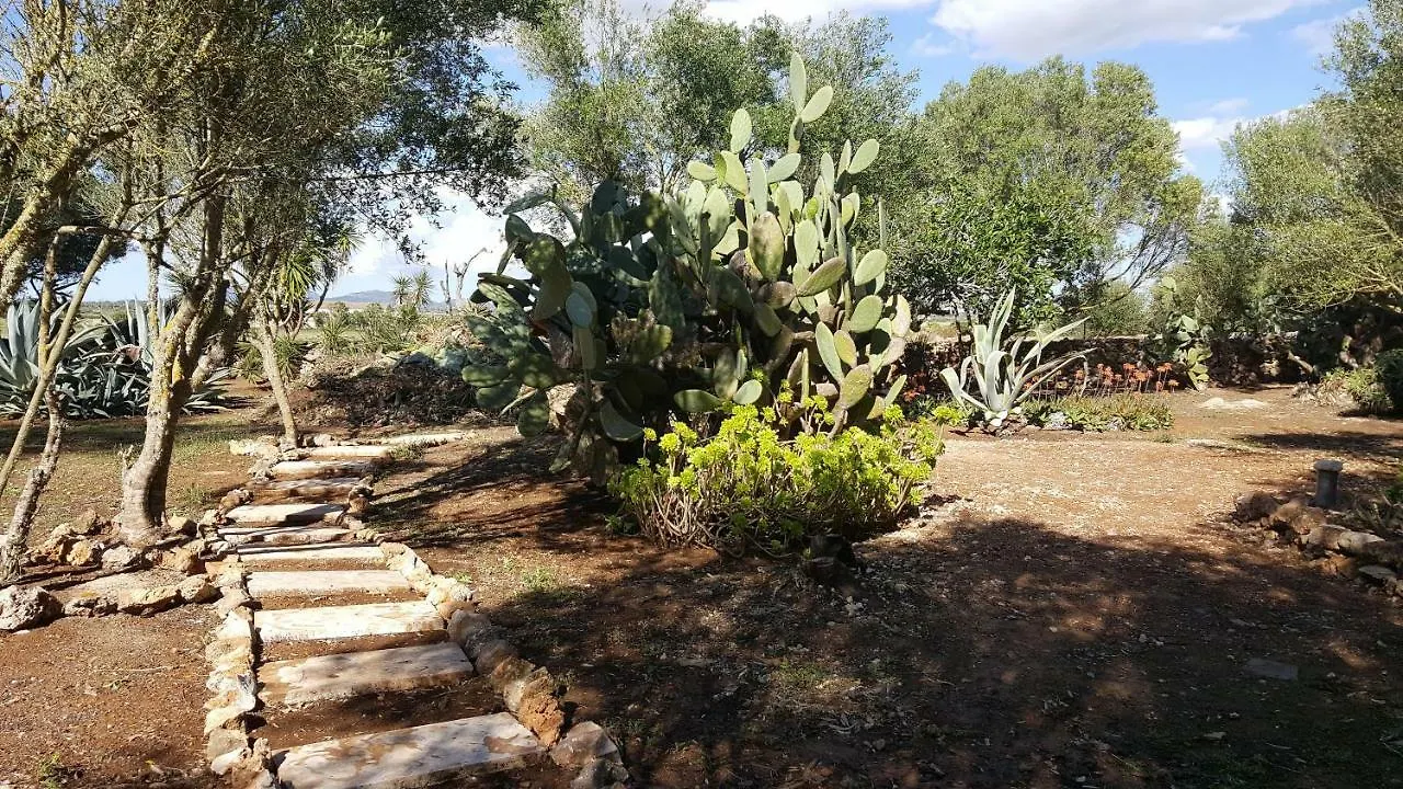 Casa Farah Mallorca Villa Ses Salines  Ses Salines (Mallorca)