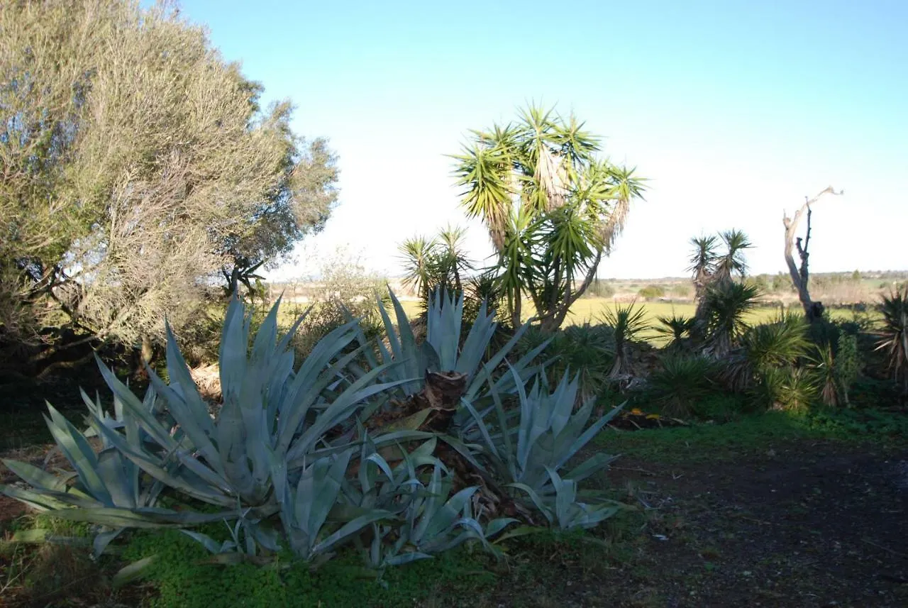Casa Farah Mallorca Villa Ses Salines  0*, Ses Salines (Mallorca) Spain